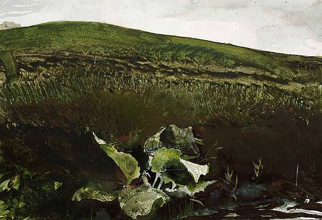 Spring On Kuerner's Hill