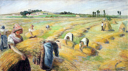 The Harvest