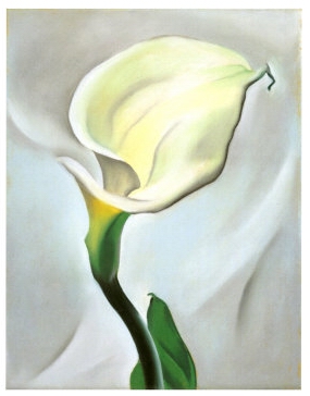 Calla-Lily-Turned-Away-Georgia-OKeeffe-1923