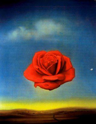 Salvador Dali meditative rose oil painting