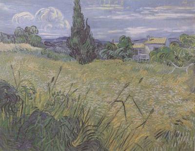 Green Wheat Field with Cypress (nn04)