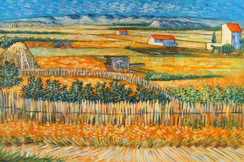 Harvest Landscape