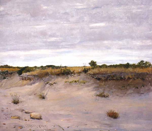 Wind Swept Sands Shinnecock Long Island