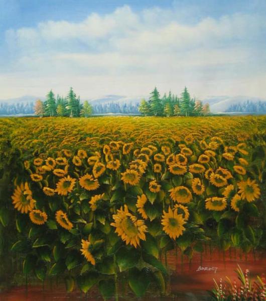 Sunflower Field
