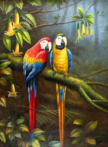 Jungle Parrots