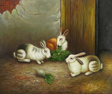 Rabbits