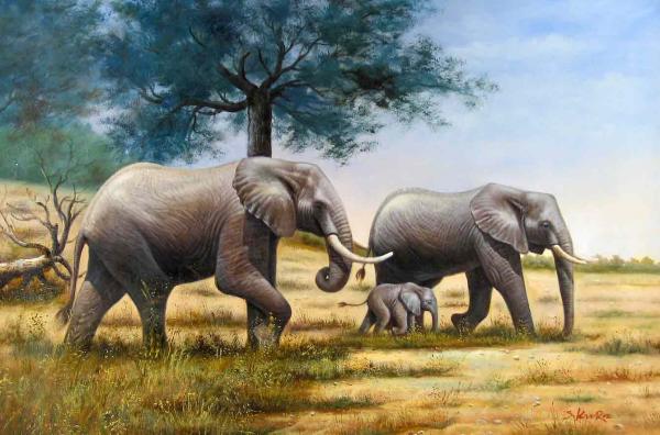 Elephants