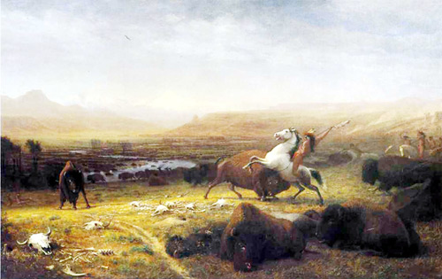 Last of the Buffalo