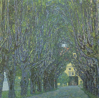 Avenue in Schloss Kammer Park