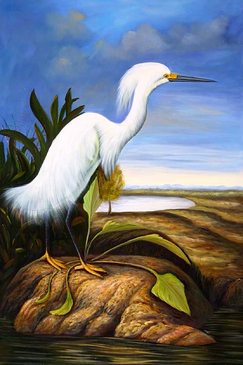White Egret