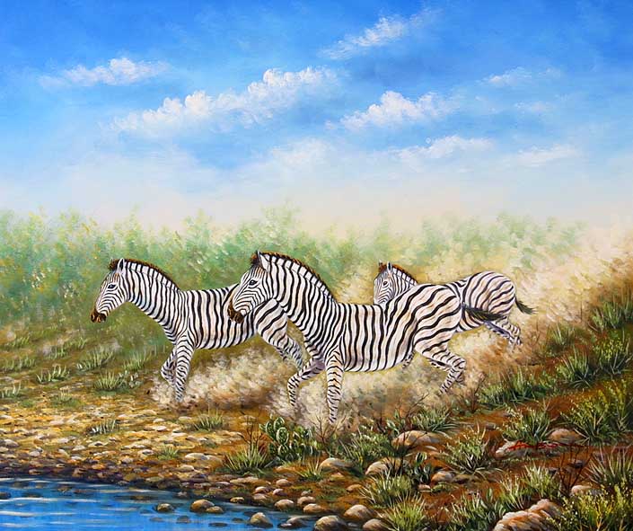 Black and White Beauties