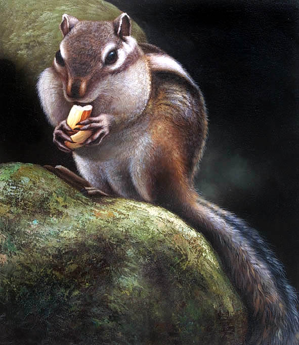 Nut-munching Chipmunk