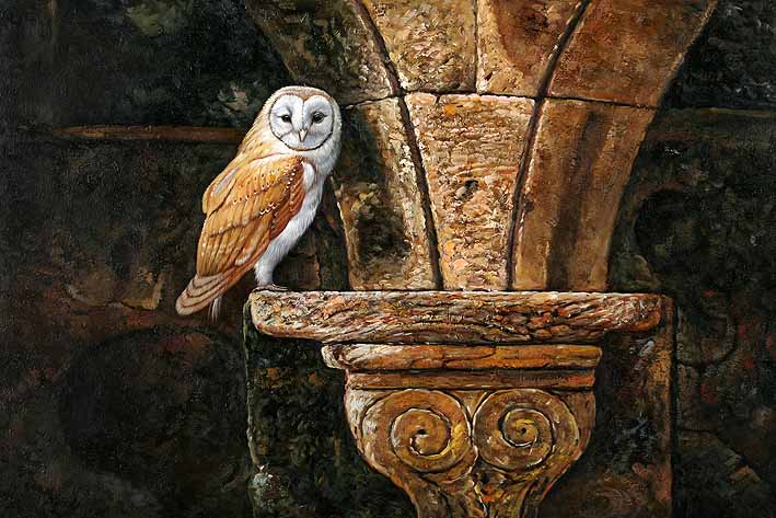The Church Owl
