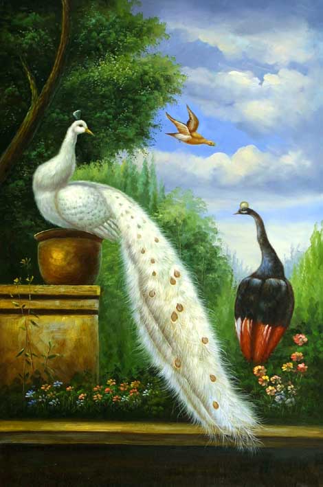 Peahen Sitting On A Flower Pot