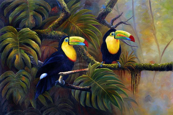 Rainforest Habitants, IV