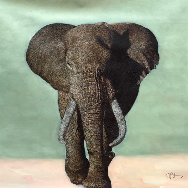Animal Elephant Wall Art for Home Decoration