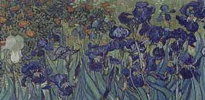 Irises (Detail) - Vincent Van Gogh