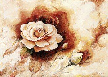 Van Der Valk Karin Rosenschatten ii