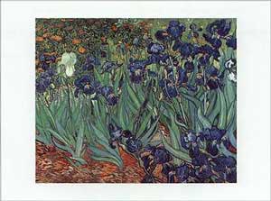 Iride - Vincent Van Gogh