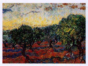 Olive Orchard - Vincent Van Gogh
