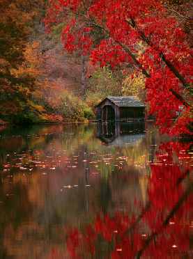 Autumn in Asheville, North Carolina