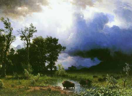 Buffalo Trail: The Impending Storm