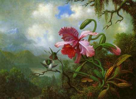 Orchid and Hummingbirds near a Mountain Lake
