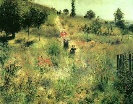 Path Winding Through High Grass