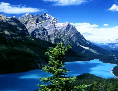 Peyto Lake at Banff National Park (detail)