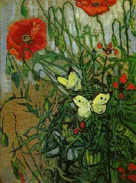 Poppies and Butterflies