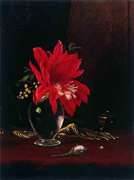 Red Flower in a Vase