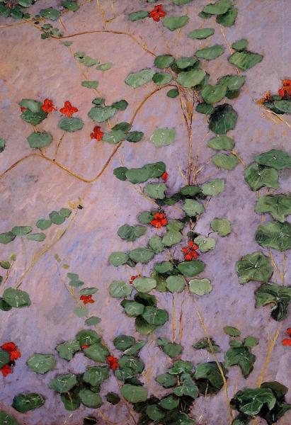 Nasturtiums 2