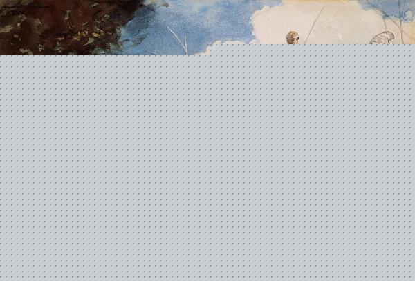 Casting in the Falls