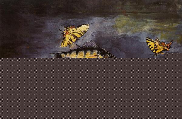 Fish and Butterflies