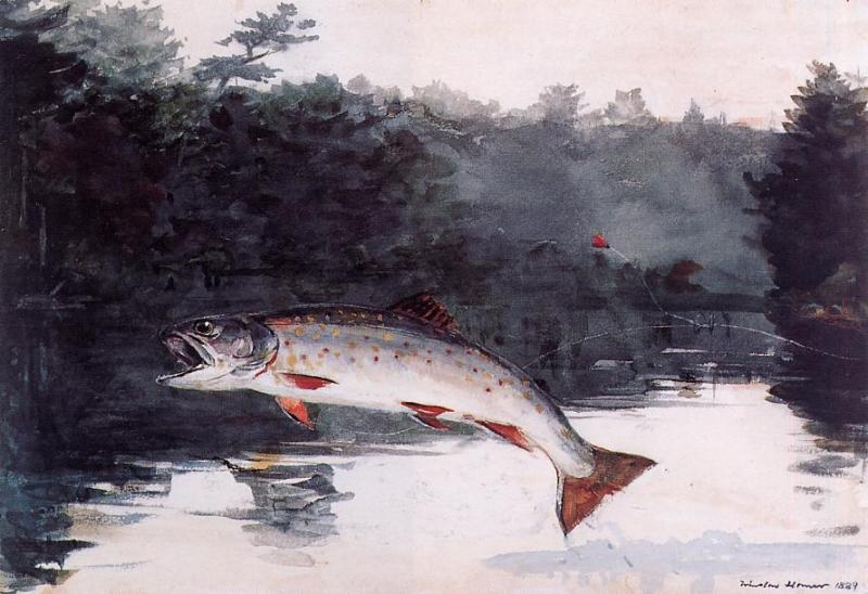 Leaping Trout 3