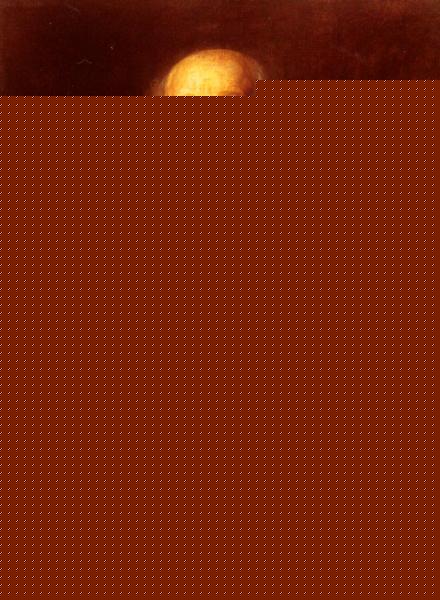 Portrait Of A Bearded Gentleman Wearing A Pince-Nez