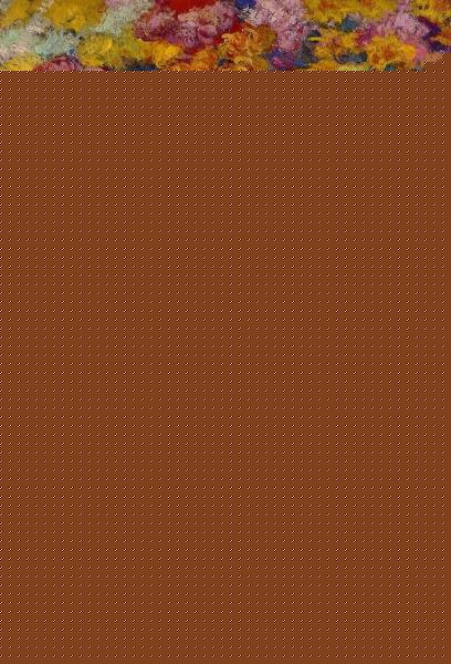 Bed of Chrysanthemums