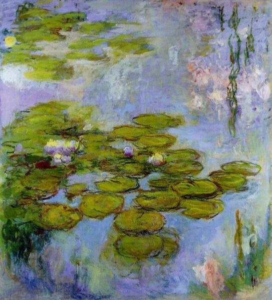 Water-Lilies 41