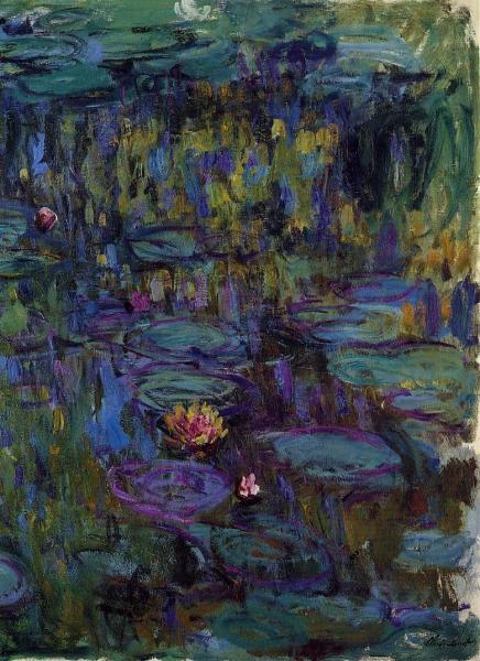 Water-Lilies 48