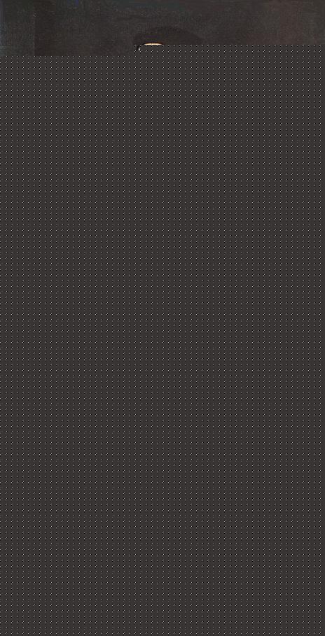 Portrait of the Wife of Hendrik Pilgram