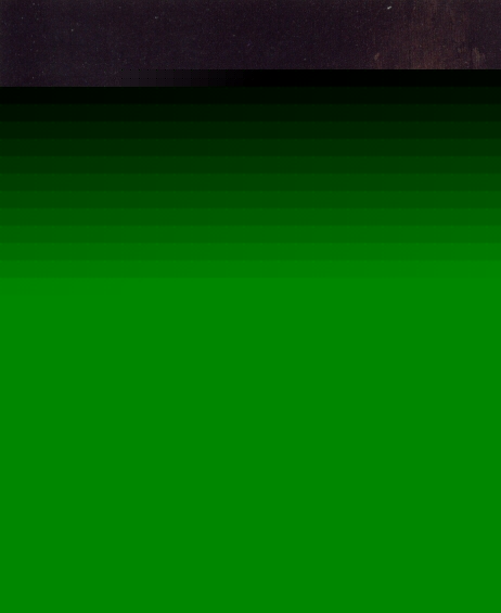 Kittens with Mussels and a Lobster