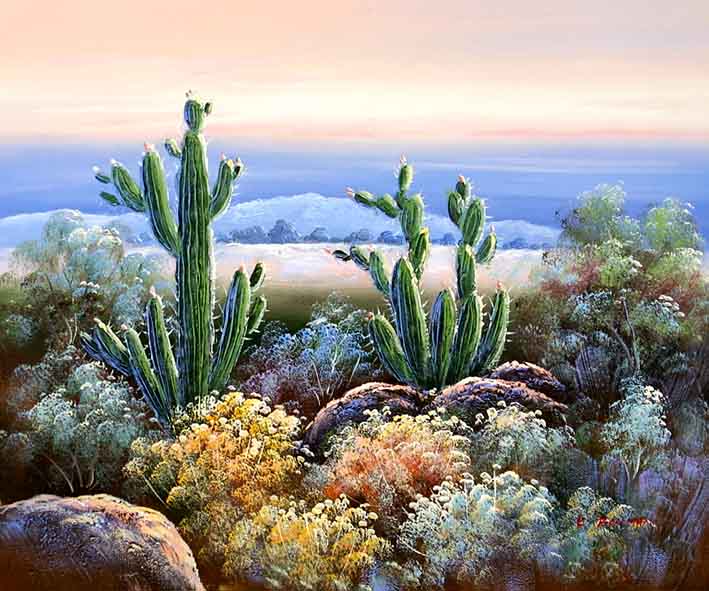 Cactus Desert