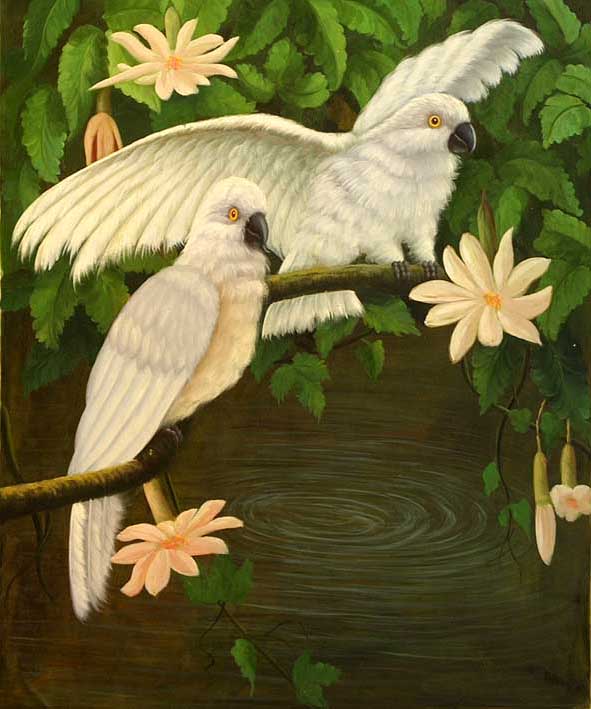 White Quaker Parrots