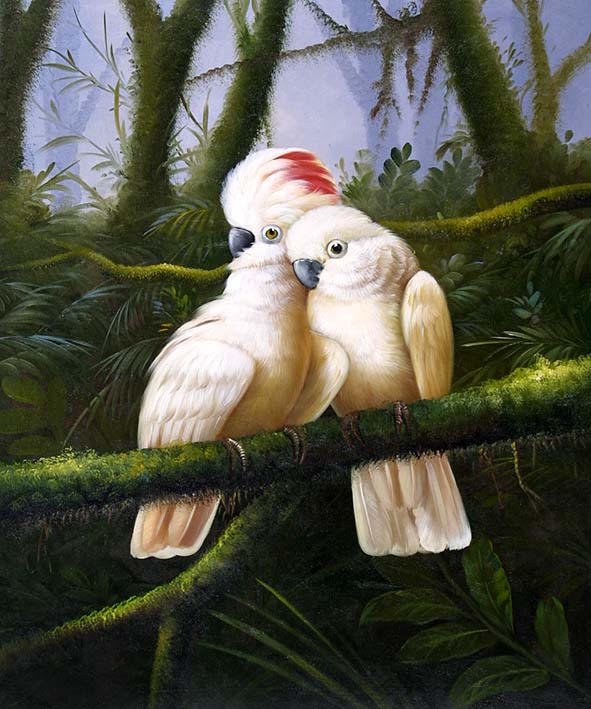 Cockatoos in Australian Jungle