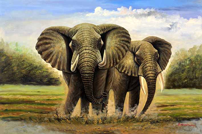 Elephants Stamping In The Mud