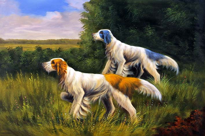 Irish Setters