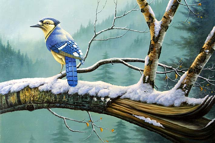 Blue Day on a Winters Day