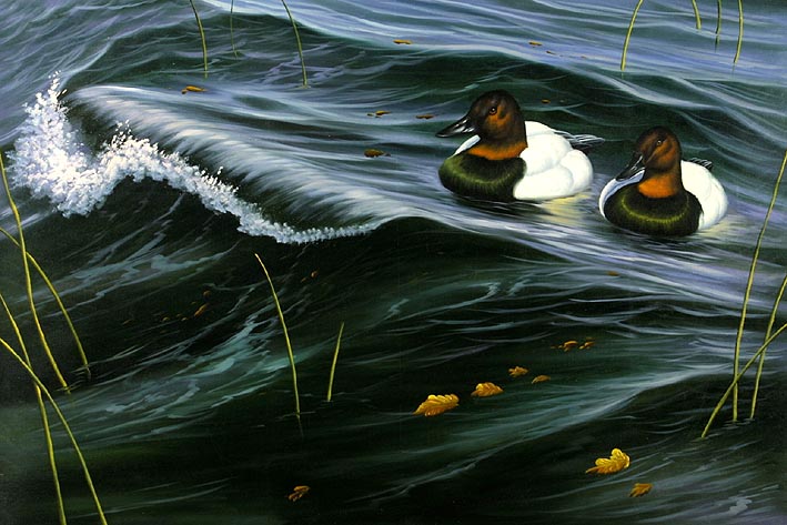 Drifting Ducks