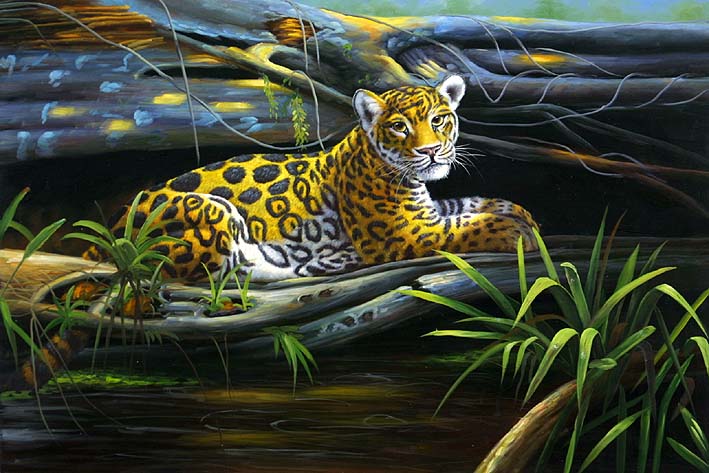 Jaguar Cub Laying On A Tree Trunk