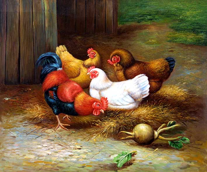Sitting Hens and a Hungry Rooster